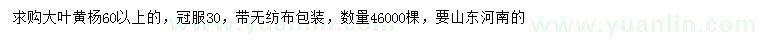 求購(gòu)60公分以上大葉黃楊
