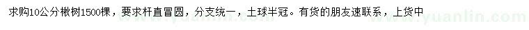 求購10公分楸樹
