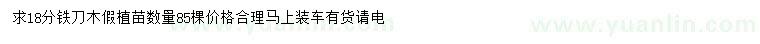 求購18公分鐵刀木假植苗