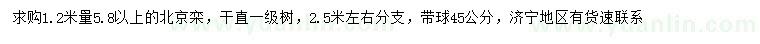 求購1.2米量5.8公分以上北京欒