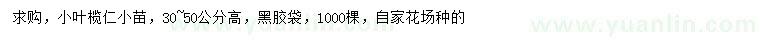 求購高0-50公分小葉欖仁小苗