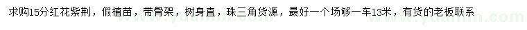 求購15公分紅花紫荊