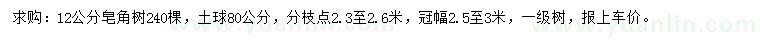 求購12公分皂角樹