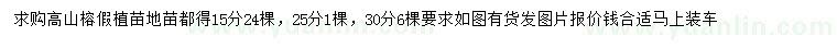 求購15、25、30公分高山榕假植苗