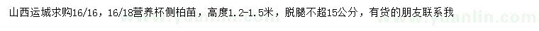 求購(gòu)高1.2-1.5米側(cè)柏苗