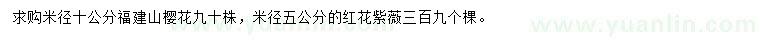 求購米徑10公分福建山櫻花
