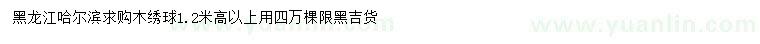 求購(gòu)高1.2米以上木繡球