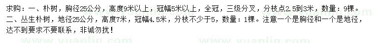 求購胸徑25公分樸樹、地徑25公分叢生樸樹
