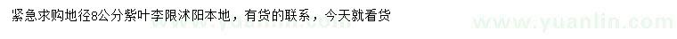 求購(gòu)地徑8公分紫葉李