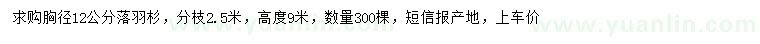 求購12公分落羽杉