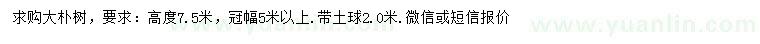 求購冠幅5米以上大樸樹