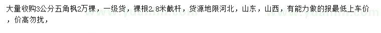 求購3公分五角楓