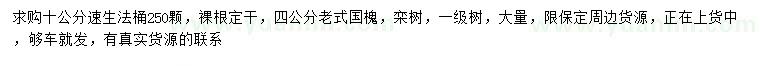 求購(gòu)速生法桐、老式國(guó)槐、欒樹
