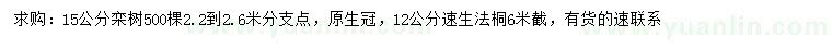 求購15公分欒樹、12公分速生法桐