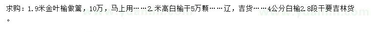 求購(gòu)1.9米金葉榆、2米白榆