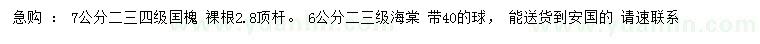 求購7公分囯槐、6公分海棠
