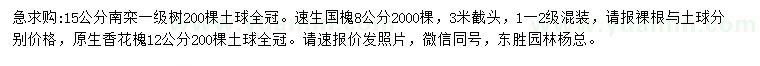 求購南欒、速生國槐、香花槐