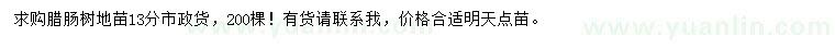 求購13公分臘腸樹地苗