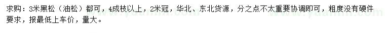 求購3米黑松或油松