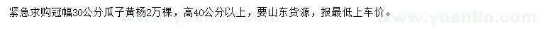 求購冠幅30公分瓜子黃楊