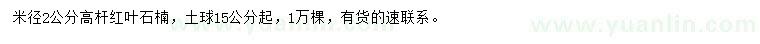 求購(gòu)米徑2公分紅葉石楠