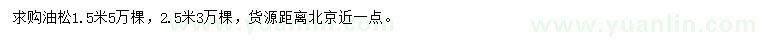 求購(gòu)1.5、2.5米油松
