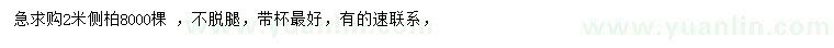 求購2米側(cè)柏