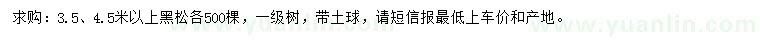 求購3.5、4.5米以上黑松