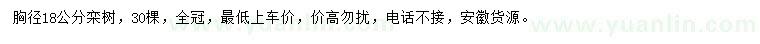 求購胸徑18公分欒樹