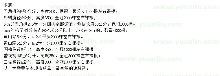 求購五角楓、樸樹、柿子樹等
