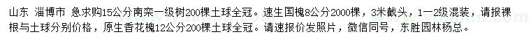 求購南欒、速生國槐、香茶槐