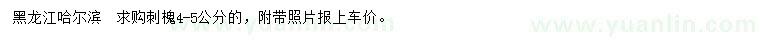 求購4-5公分刺槐