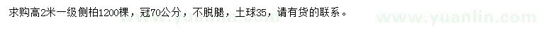 求購高2米側(cè)柏