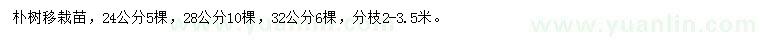 求購24、28、32公分樸樹