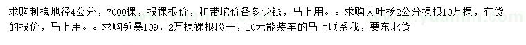 求購刺槐、大葉楊、垂暴109