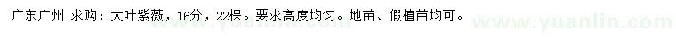 求購16公分大葉紫薇