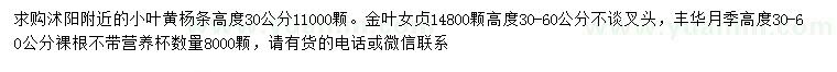 求購小葉黃楊條、金葉女貞、豐華月季