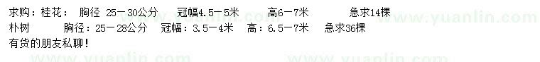 求購胸徑25-30公分桂花、25-28公分樸樹