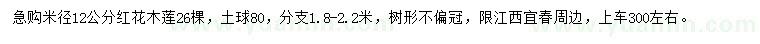 求購米徑12公分紅花木蓮