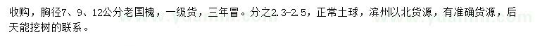 求購胸徑7、9、12公分老國槐
