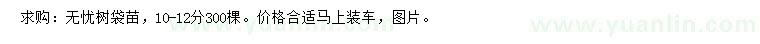 求購10-12分無憂樹袋苗