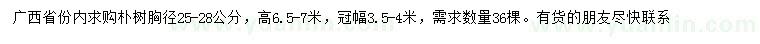 求購25-28公分樸樹