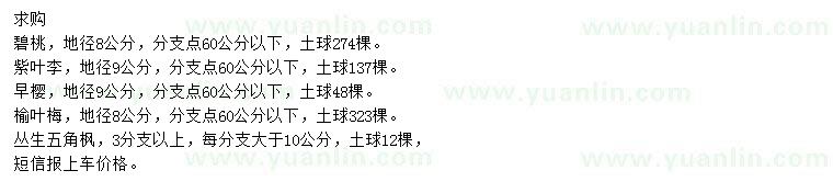 求購碧桃、紫葉李、早櫻等