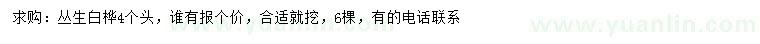 求購(gòu)4公分叢生白樺