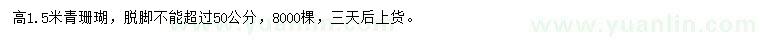 求購高1.5米青珊瑚