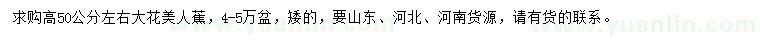 求購高50公分左右大花美人蕉