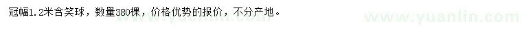求購冠幅1.2米含笑球