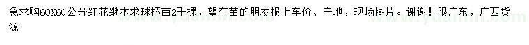 求購60*60紅花繼木