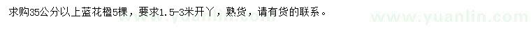 求購(gòu)35公分以上藍(lán)花楹
