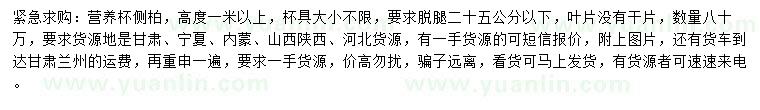 求購高1米側柏